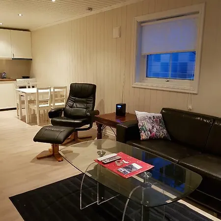 Odlandsvegen Basement Apartamento Røldal