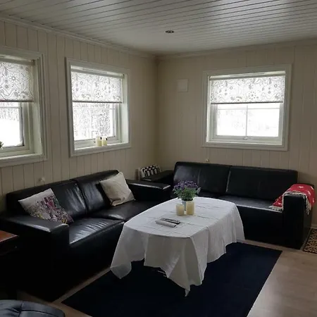 Apartamento Odlandsvegen Basement Røldal